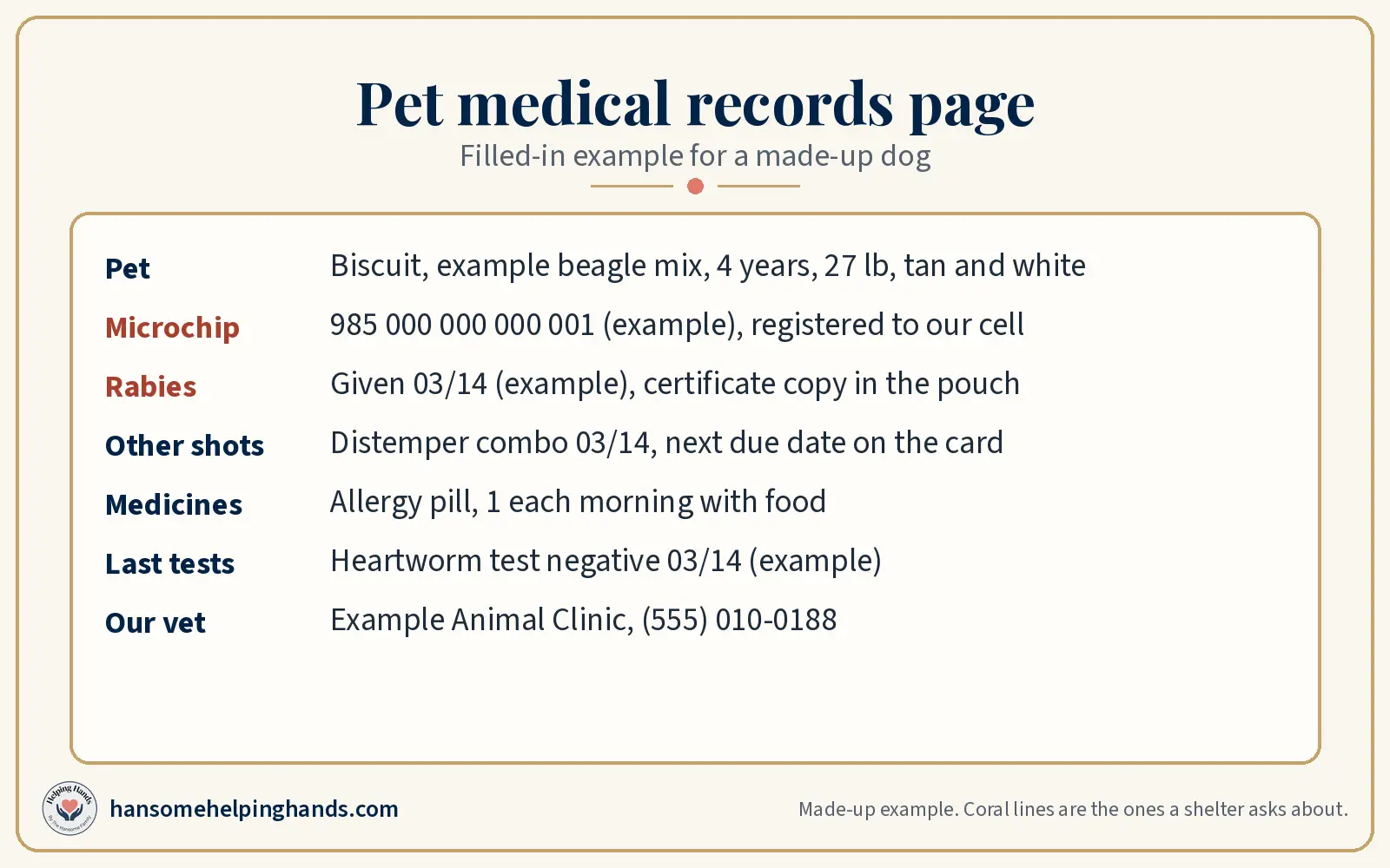 Pet medical records page filled in for a made-up beagle mix: microchip number, rabies date, other shots, medicines, last tests, and the vet