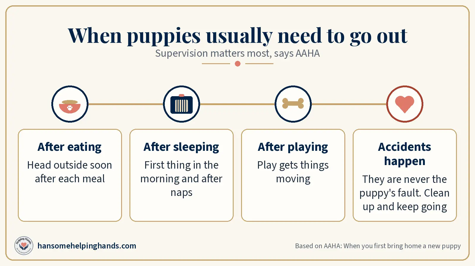 Puppies usually need to go out after eating, after sleeping, and after playing, and accidents are never their fault